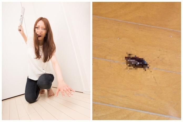 ▲蟑螂讓很多人頭痛，一名女大生在租屋 2 年半後悟出 5 個防蟑重點。（合成圖，僅示意用非當事人／取自 photoAC ）