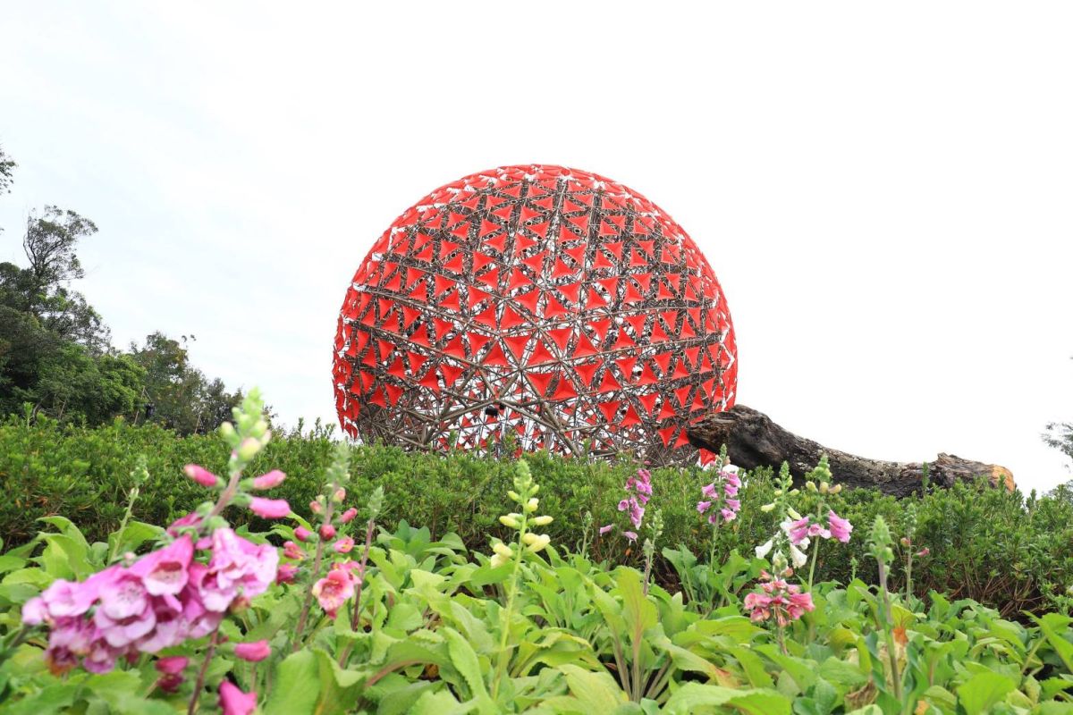 ▲台灣燈會主展區，后里花博園區登場，市府將全力配合中央進行植栽調整，務必讓「聆聽花開的聲音」亮麗呈現。 (圖／市政府提供2019.11.12)