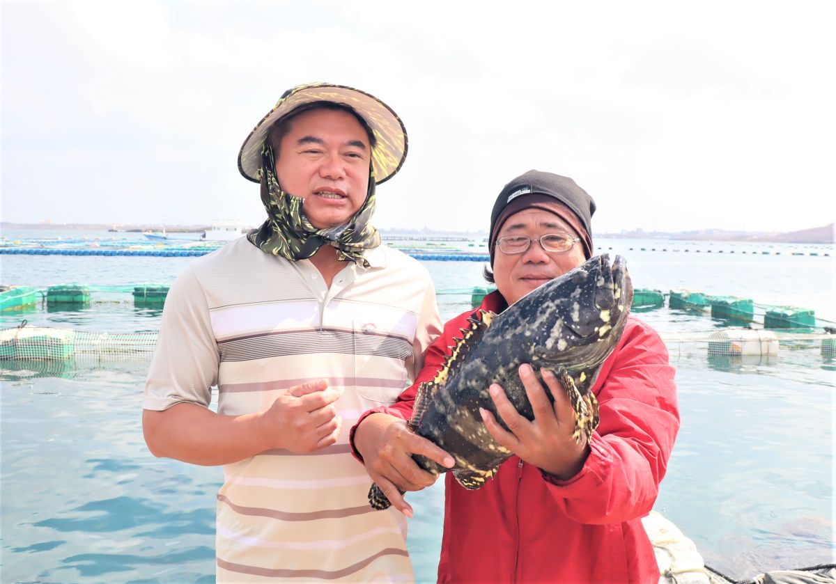 ▲台灣海洋箱網養殖發展協會理事長翁平勝明年將力推明星魚種龍膽石斑與龍虎斑，養殖成本相較海鱺魚可降低50％以上。（圖／記者張塵攝，2019.11.13）