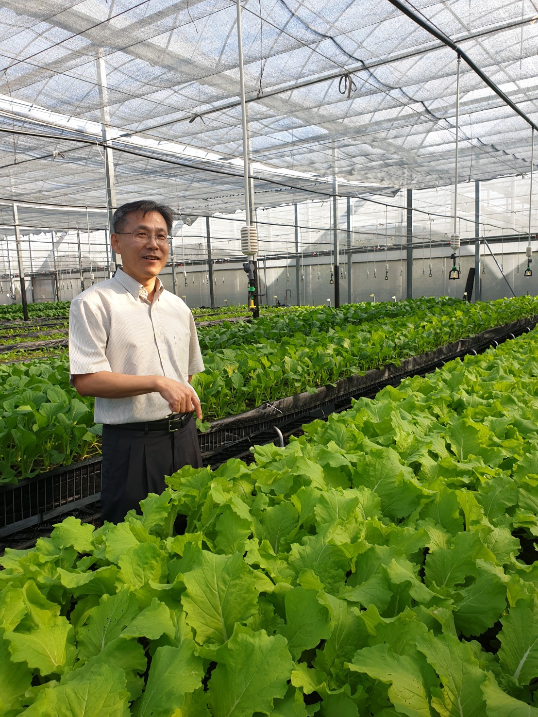 ▲ 藥師黃明發投入低鉀蔬菜研發，造福腎臟病患者，獲經濟部頒發創新研究獎肯定。（圖／金武鳳攝，2019.11.14)