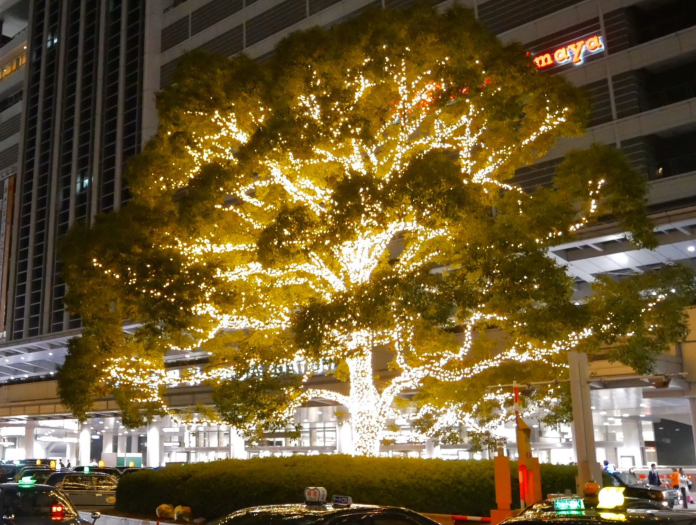 耶誕樹不夠看！日本名古屋「發光花椰菜」耶誕樹 爆紅
