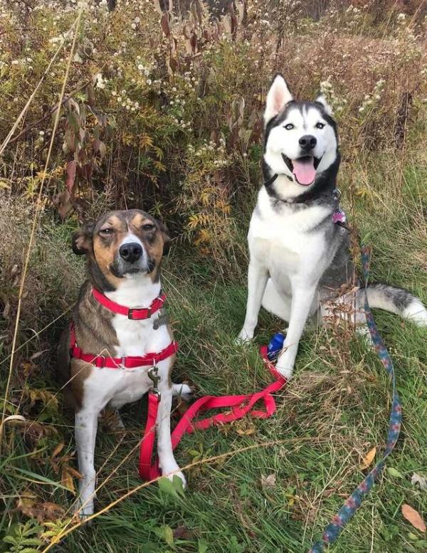 <br> 露西和Kuma每天都一起去散步，看看露西的表情超開勳的啦～（圖/Shannon McCann）