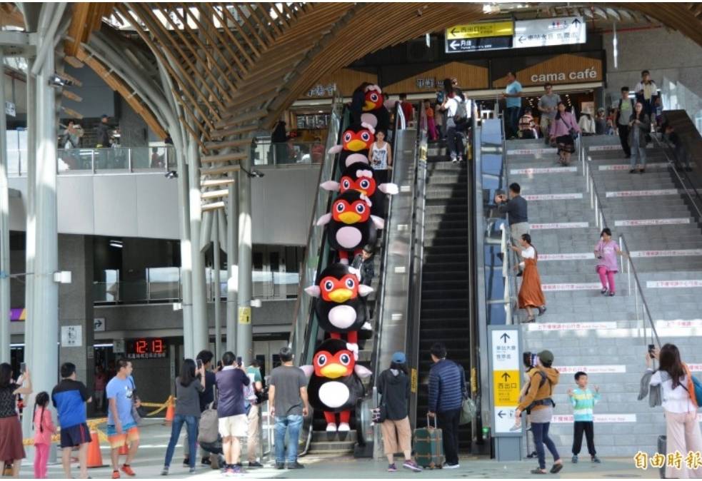 ▲紅面鴨現身花蓮火車站，一字排開下電扶梯，引起民眾驚呼。（圖／）
