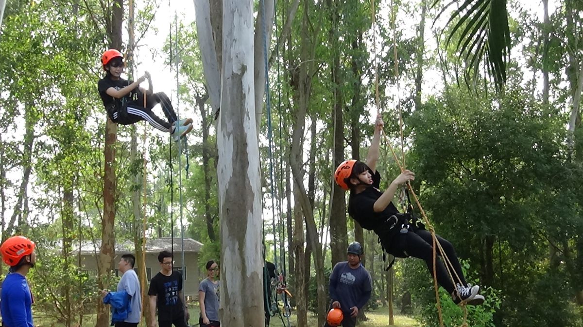 ▲南華大學建景系20加冠，學生體驗攀樹探索大自然。（圖/南華大學提供，2019.11.20）