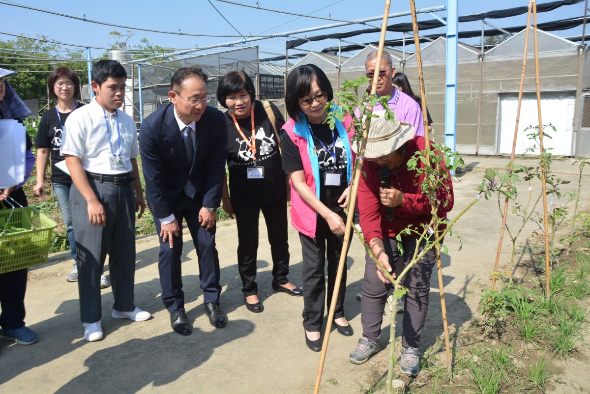 ▲日校師生對茄子與番茄嫁接奇景感到驚異及好奇。（圖／記者郭政隆攝影2019.11.211）