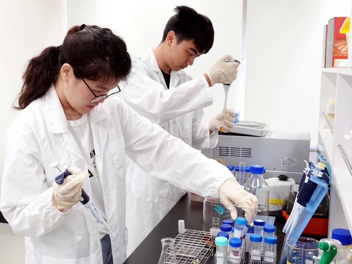 ▲中正大學學生研發「非洲豬瘟快篩檢測器」，在潛伏前期就能偵測豬瘟病毒，能有效防止疫情擴大。（圖/中正大學提供，2019.11.21）