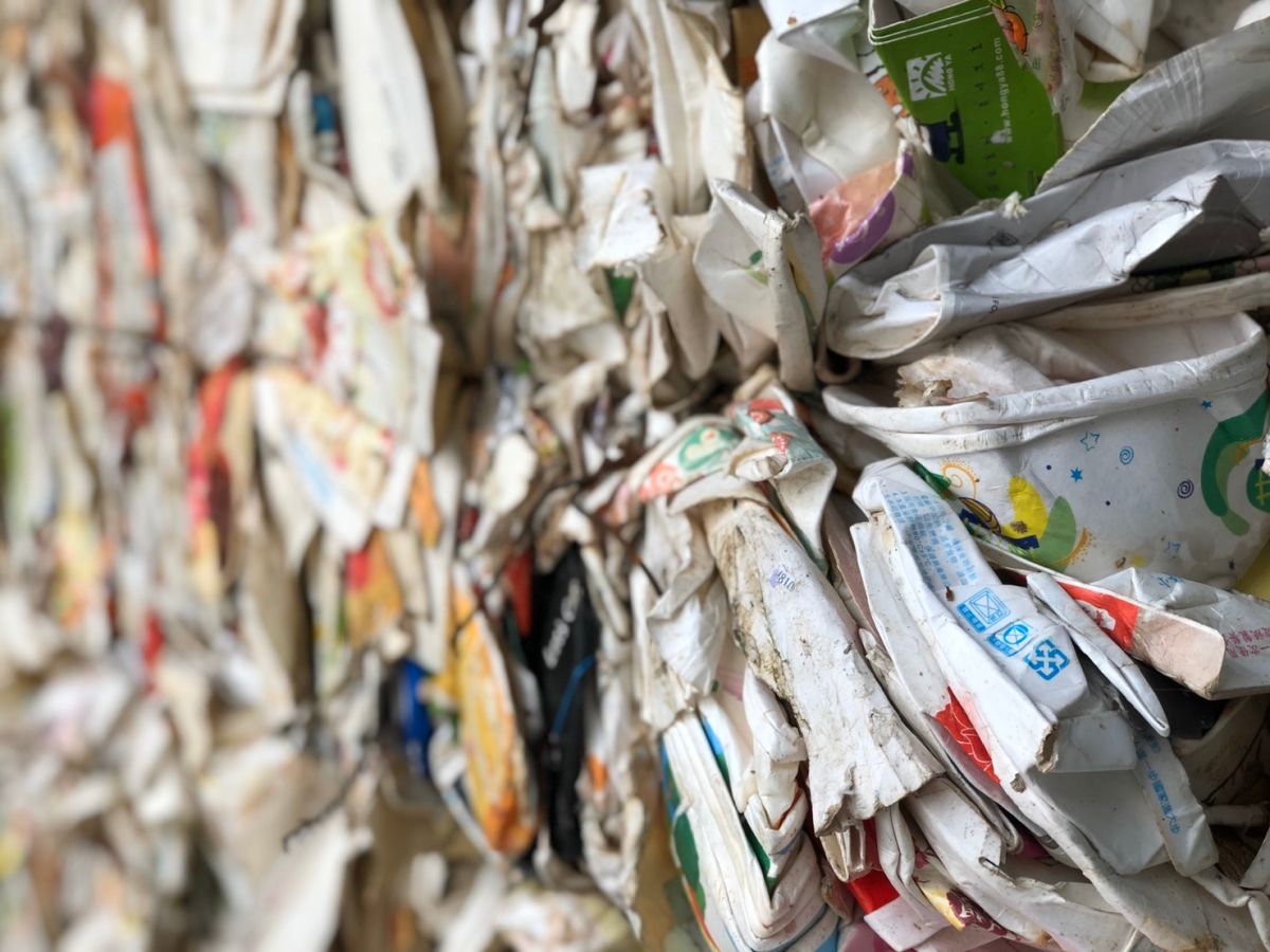 ▲透過專業的機器處理，紙類餐盒、紙容器，都能夠被回收、永續使用。（圖／記者劉雅文拍攝）