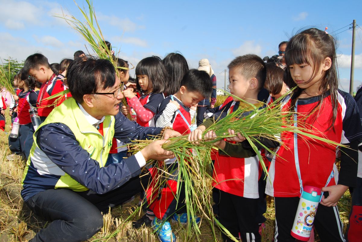 ▲林世賢到場和小朋友親切互動，並和小朋友一起聞稻穀與收割後稻草的香味。（圖／記者陳雅芳攝，2019.11.22）