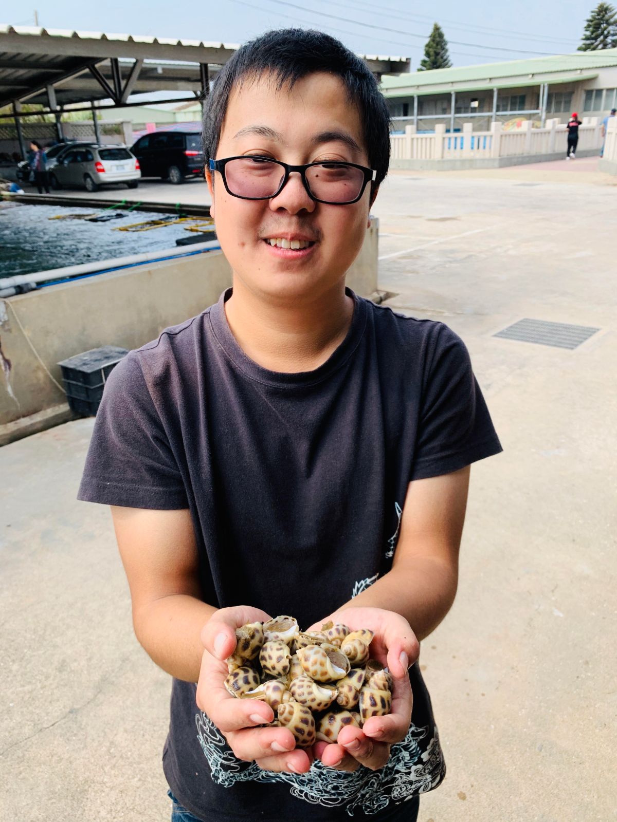 ▲金門水試所將於27日開賣「象牙鳳螺」，每公斤400元。（圖／蔡若喬攝, 2019.11.25）