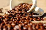 台灣有種咖啡豆！從產地能分出「3種特殊風味」　專家揭關鍵差異
