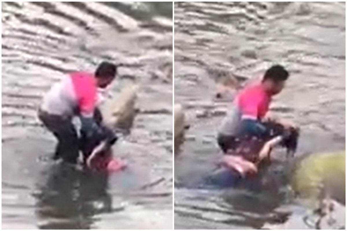 ▲熊貓外送員奮勇下水救人。（合成圖／翻攝自我們是馬來西亞人臉書）