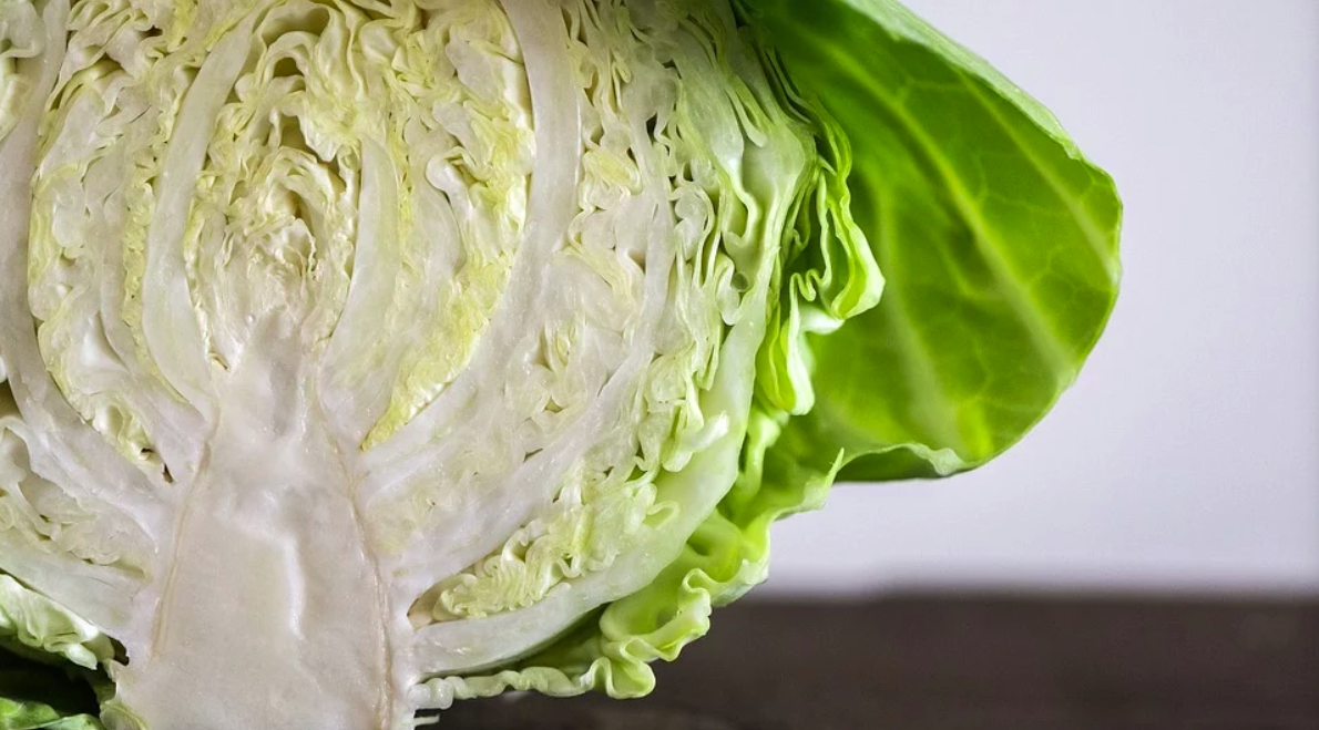 ▲搜狐號《小楊聊美食》近期就分享了高麗菜下鍋前的若少「關鍵一步驟」，怎麼炒味道都無法入味。（示意圖／翻攝Pixabay）