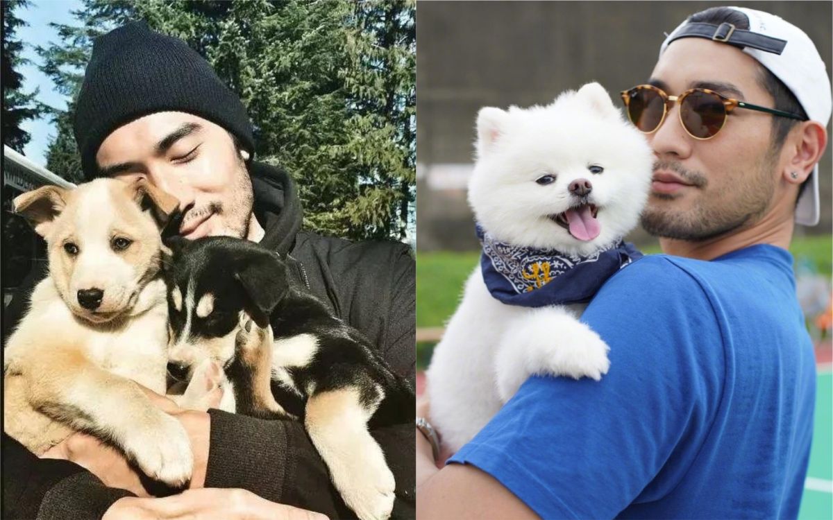 ▲高以翔生前曾提及對未來的嚮往，並表示未來生活無中一定要養寵物。（圖／翻攝微博） 