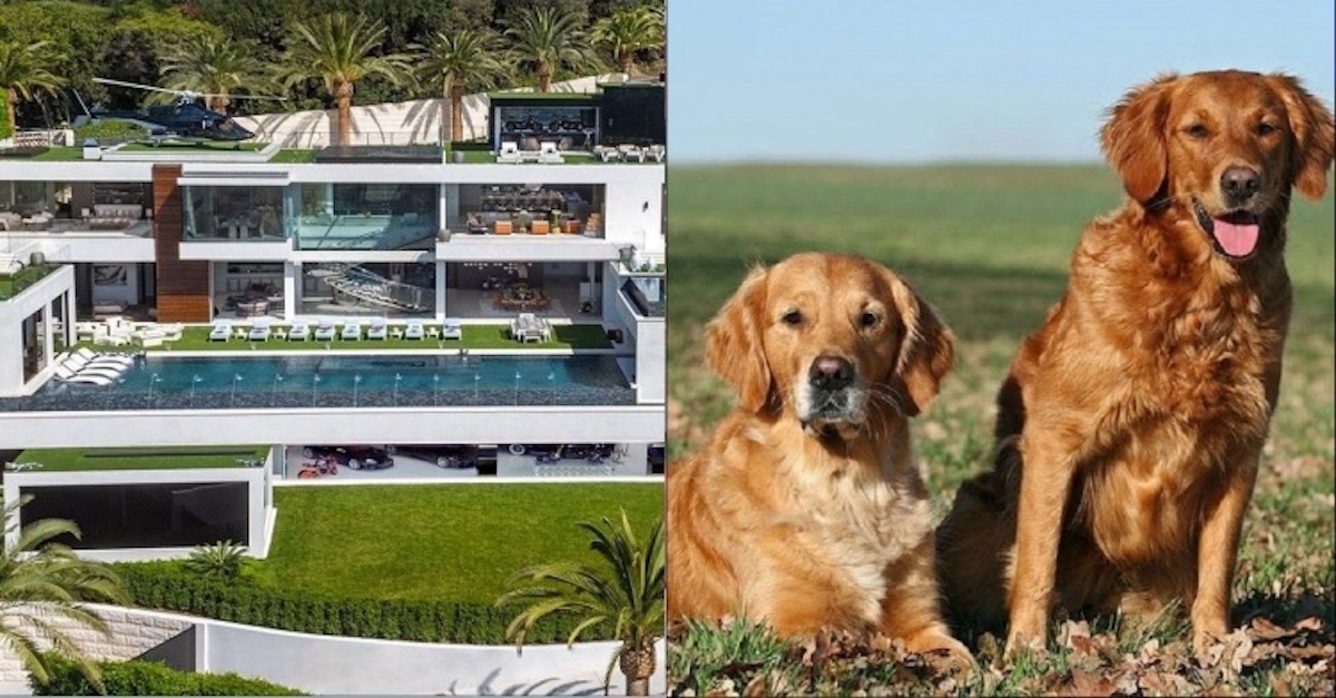 ▲神級爽缺！年薪百萬配豪宅，工作內容曝光遭瘋搶。（圖／翻攝自外媒）