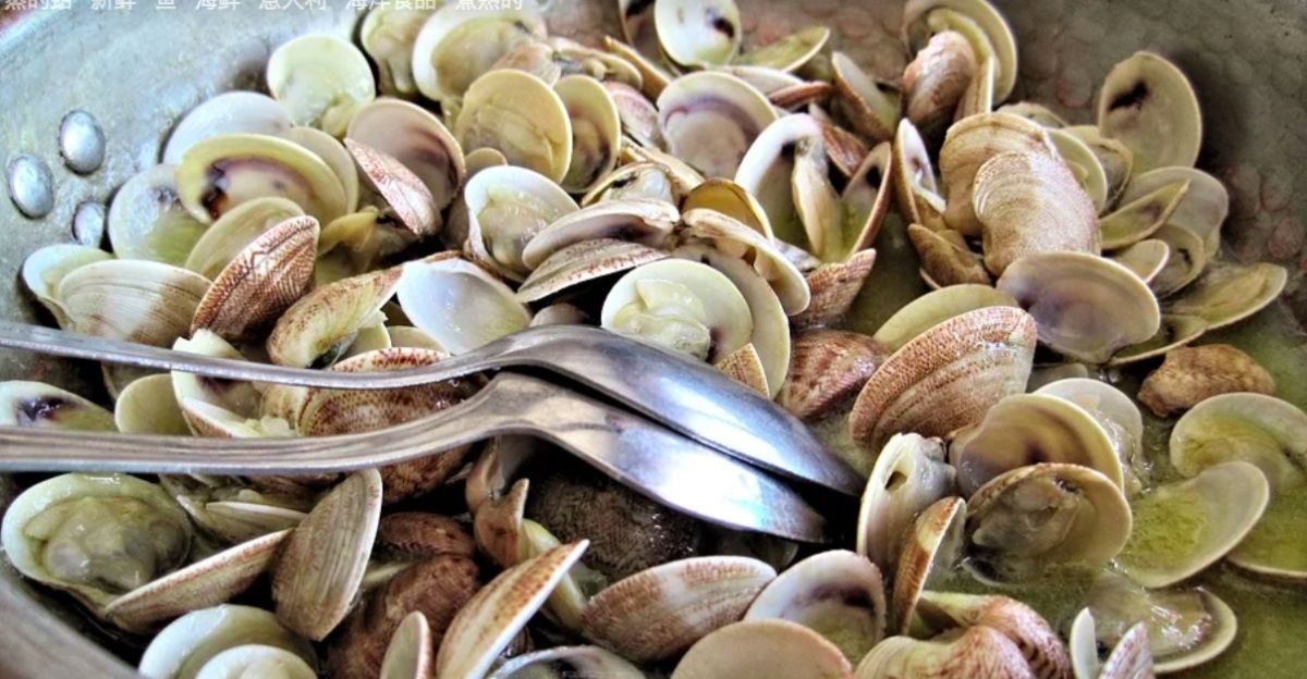 ▲有網友日前與同事聚餐，結束後發現有一個同事竟然將「蛤蠣殼」打包回家，讓他相當傻眼。（示意圖／取自pixabay）