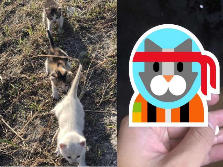 日本一名推主@BlackBox514日前從烏鴉的手中拯救三隻小奶貓（圖／twitter@BlackBox514）