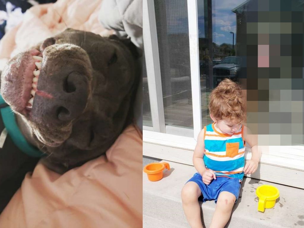 馬～麻～你看我～我是不是超可愛～快開門呀～ (圖/Mckayla Nelson) 