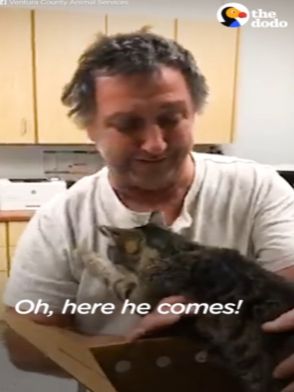 男子與失蹤7年的老貓重逢　相聚那一刻所有人眼角都濕了！