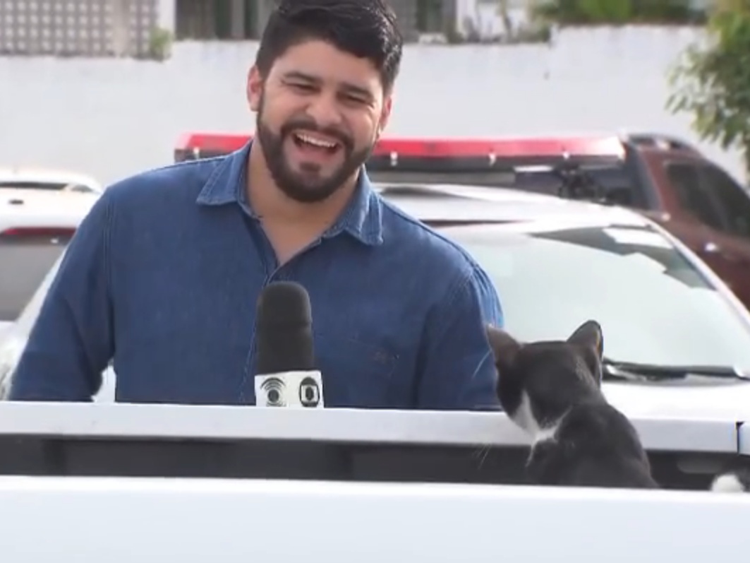 摸我摸我～(圖/Facebook@Artur Lira) 