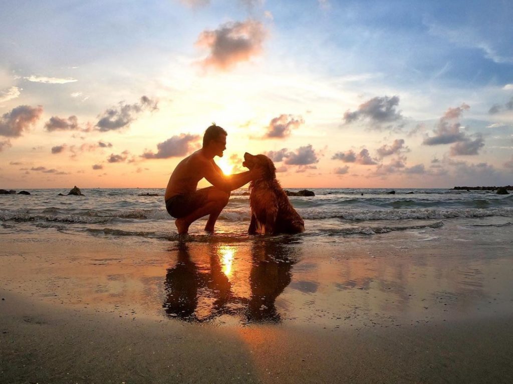 傑西帶著愛犬踏上環遊世界之旅途（圖／IG@shurastey_）