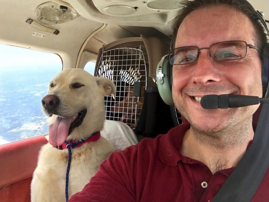 工程師保羅自購飛機幫忙就圓面臨安樂死的狗狗（圖／IG@flyingfuranimalrescue）