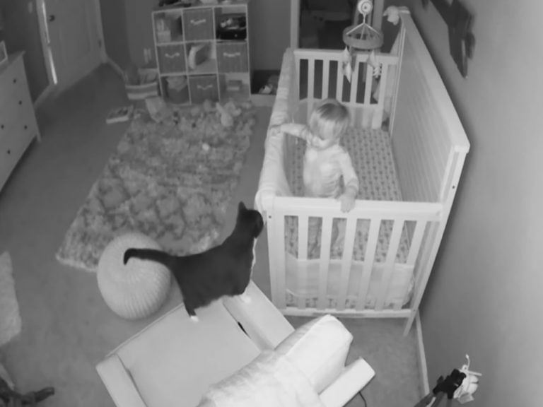 監視器拍到嬰兒與貓咪的對話（圖／IG@linds_needham）