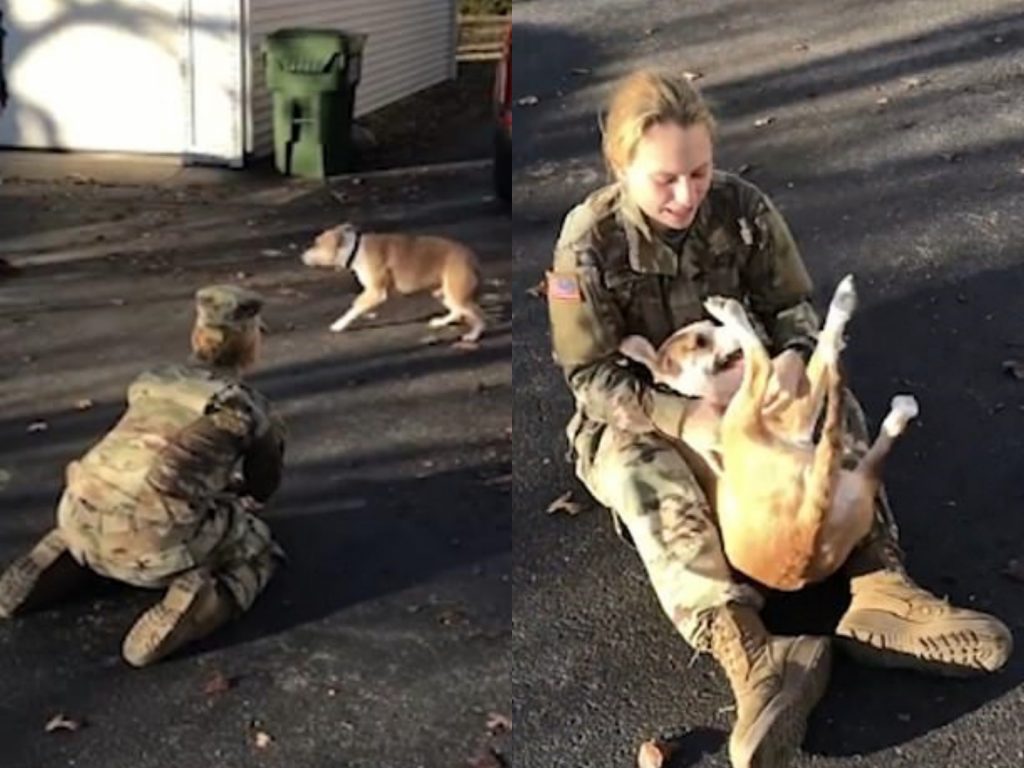 看到摩菲一直閃躲，珍娜差點沒落下淚來：「一開始牠沒認出我的時候，我都要心碎了。」 (圖/Youtube@ViralHog) 