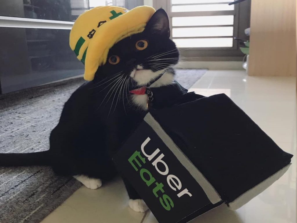 黑白貓OA化身超萌外送員，引起網友為之瘋狂（圖／網友Fan Fei授權提供）