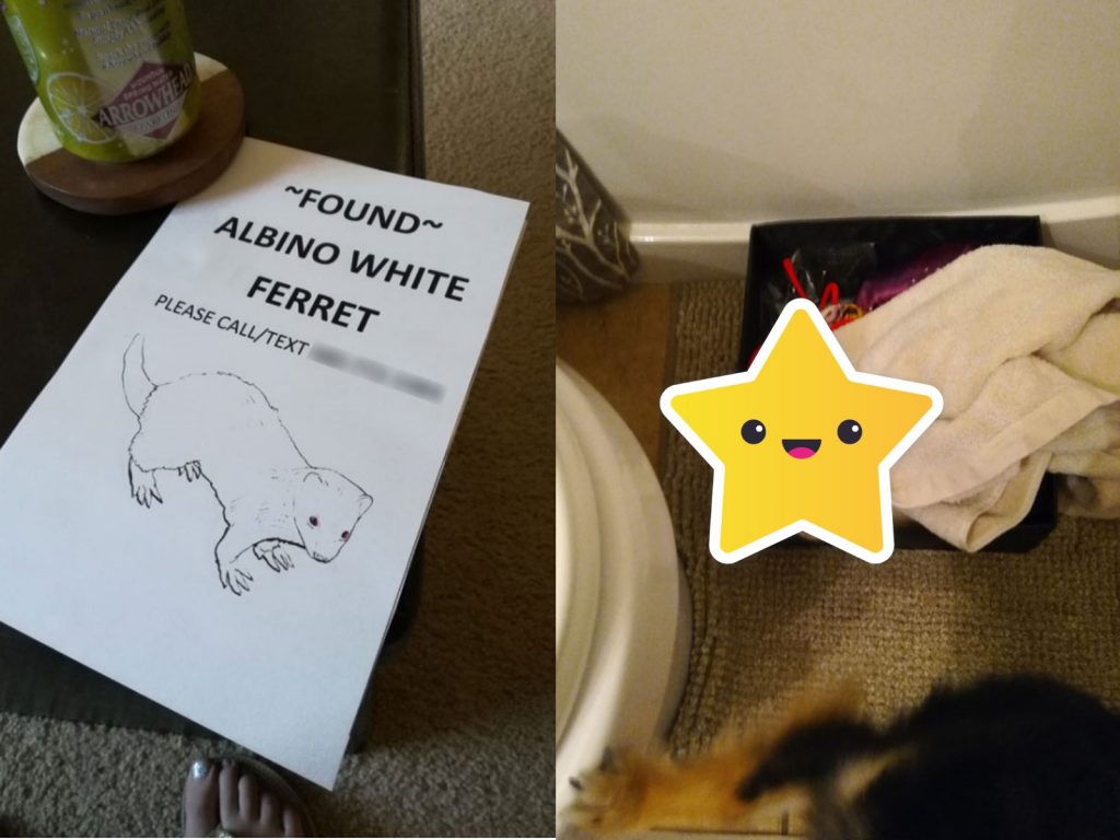 女子潔西卡半夜遇見一名不速之客闖進屋內（圖／imgur@bimbumbim）