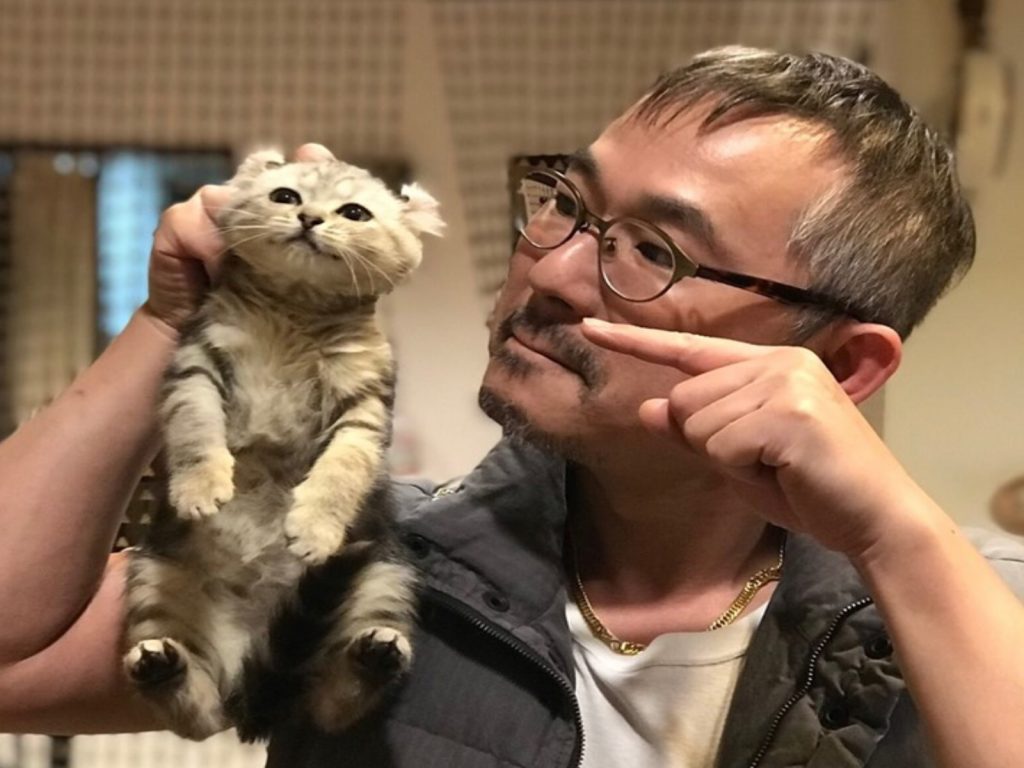 貓咪Coco：本喵才不在乎！（圖／網友陳文哲提供）