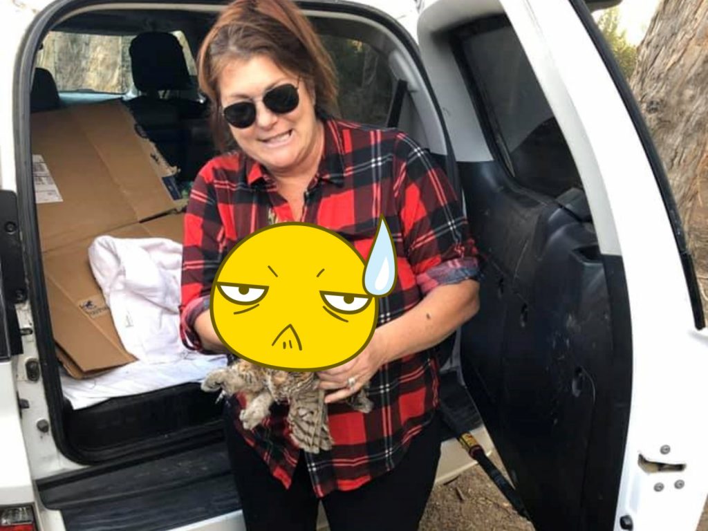 消防員擔心牠受傷，趕緊用外套將牠包起來，而牠也非常合作。 (圖/Facebook@Ventura County Fire Department) 