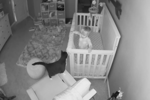 監視器錄下嬰兒與貓咪對「喵」　網笑：從小開始征服！