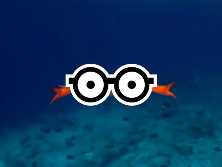 網友潛水捕捉螃蟹呆萌泳姿　百萬網友笑：原來不是橫著游！
