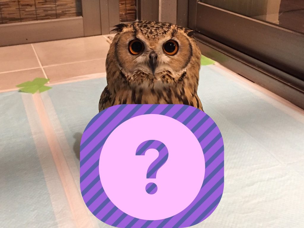 Garu你是不是哪裡怪怪der？(圖/Twitter@Gen3Act03) 