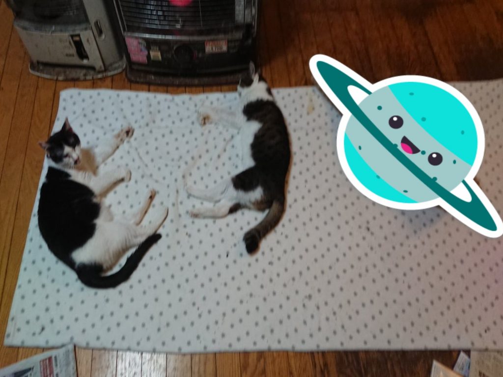 推主搬出暖爐後，竟引來陌生生物入侵！（圖／twitter@arimahyoue）