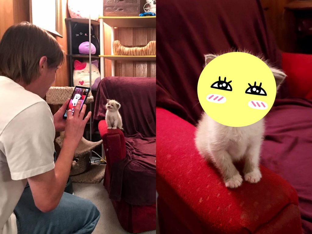 這樣笑可以嗎？人家醬可不可愛？ (圖/Facebook@Lauren Boutz) 