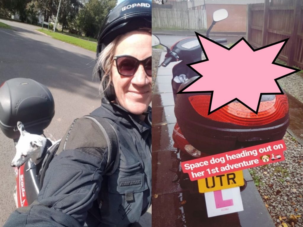 飼主克蒂絲為了鼓舞愛犬米西，經常騎車帶牠去兜風散心（圖／MetroUK）