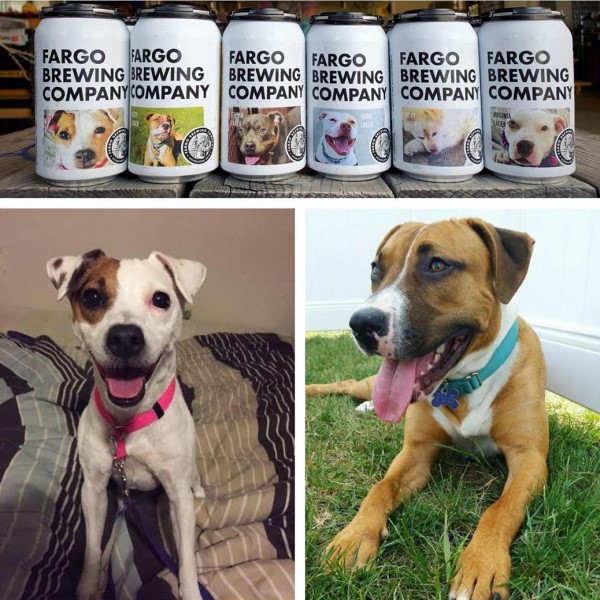 美國啤酒廠將待認養狗狗照印在罐子上　幫助牠們曝光找家
