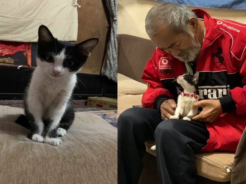 小賓士成功擄獲阿公的心（圖／網友金雅雯提供）