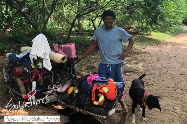 為了愛　男子推三輪車徒步環遊墨西哥拯救近500隻流浪狗
