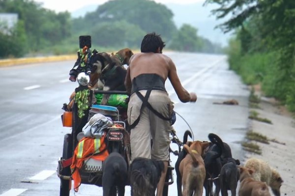 為了愛　男子推三輪車徒步環遊墨西哥拯救近500隻流浪狗