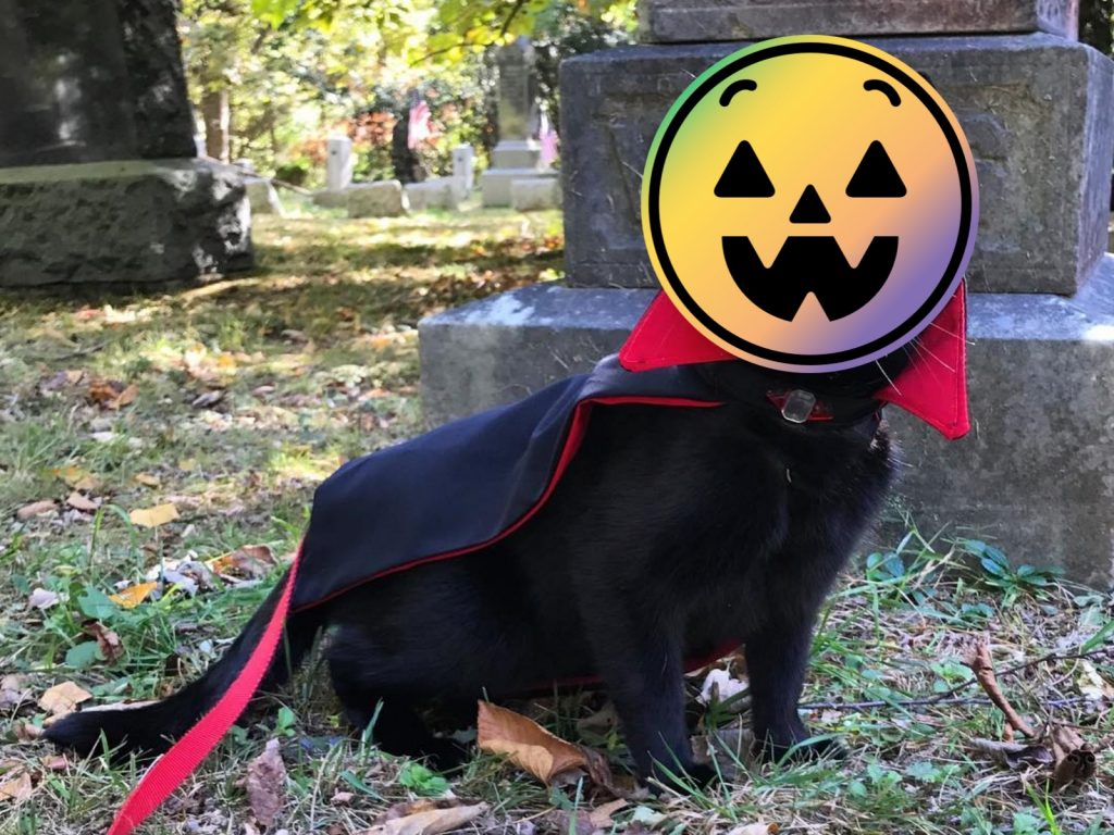 萬聖節一穿上披風，就是百分之百的吸血鬼再現，扮裝超簡單！ (圖/IG@monkandbean) 