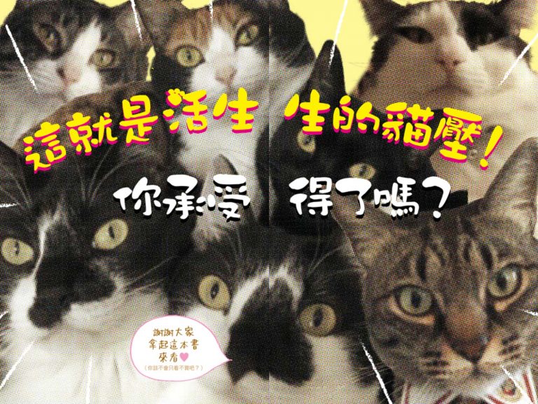 養貓好療癒？日本貓奴要來告訴你貓咪的真面目!
