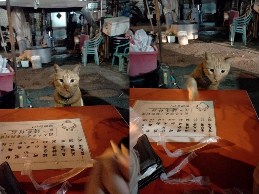 （帥氣出掌）朕要魚丸湯一碗！！（圖／網友蔡欣提供） 