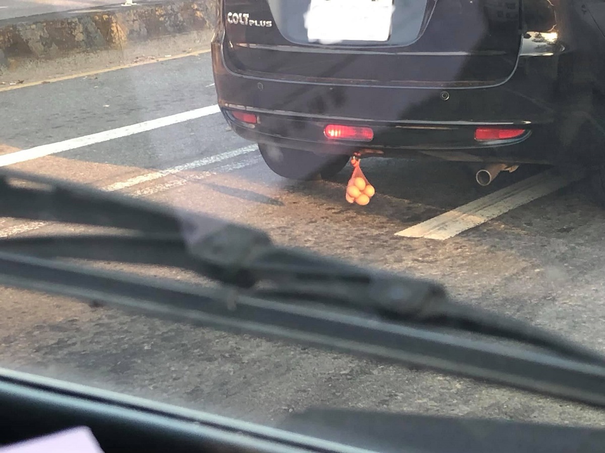 ▲休旅車「車尾掛一袋雞蛋」是在哈囉？內行人揭神秘用途。（圖／取自臉書社團爆廢公社）
