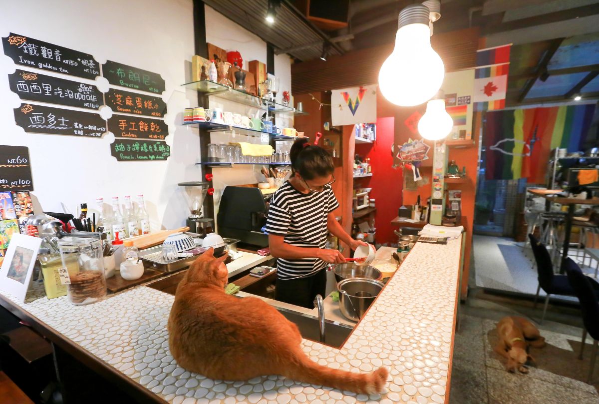 ▲h*ours咖啡店內一隅。（圖／記者葉政勳攝）