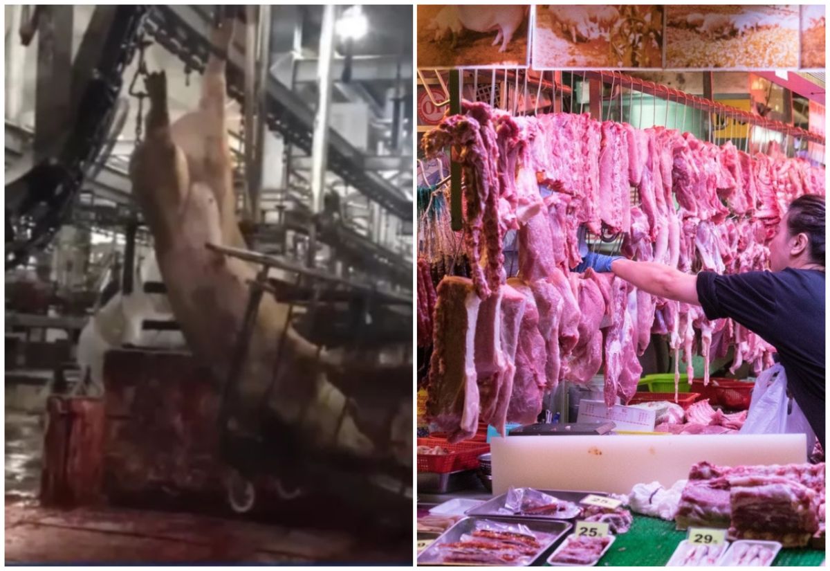 ▲廣東電視台記者潛入屠宰場，揭露不肖業者加工病死豬再轉賣。（圖／翻攝自《香港 01 》）