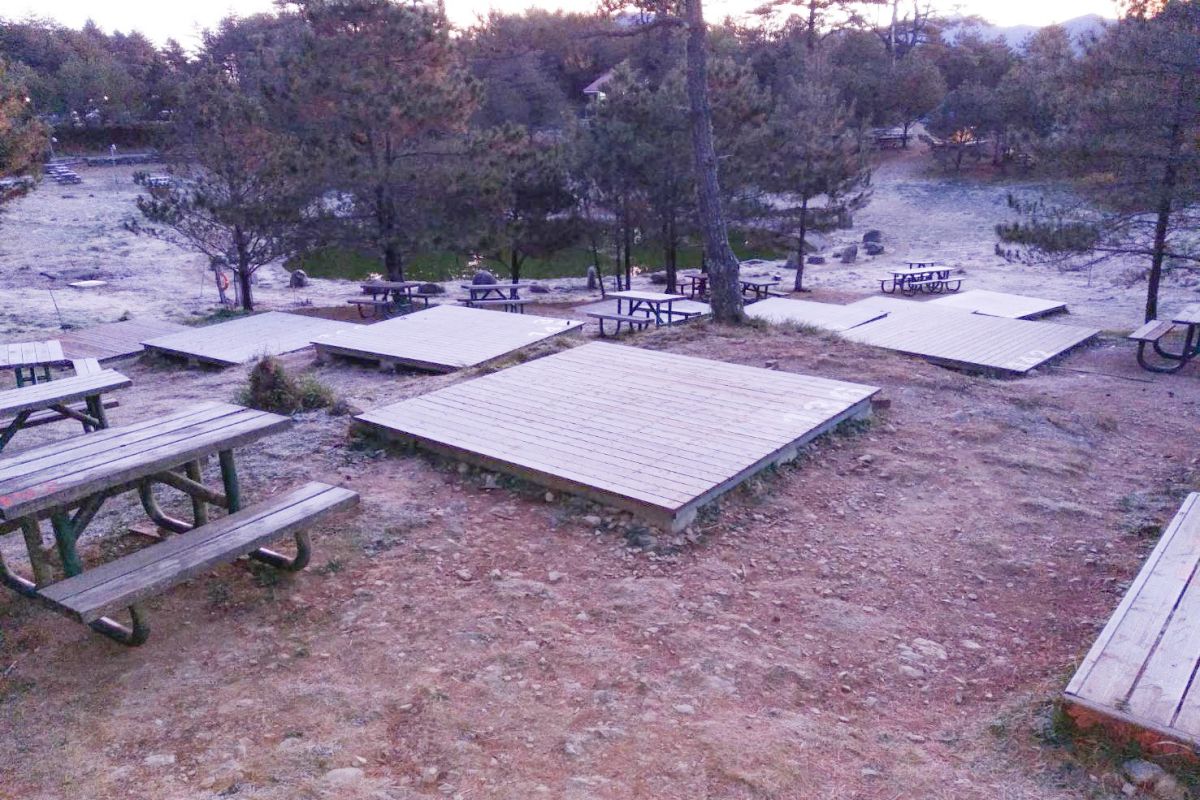 ▲大陸冷氣團南下，福壽山農場露營區早晨已經結上厚厚一層白霜。 (圖／福壽山農場提供2019.12.3)