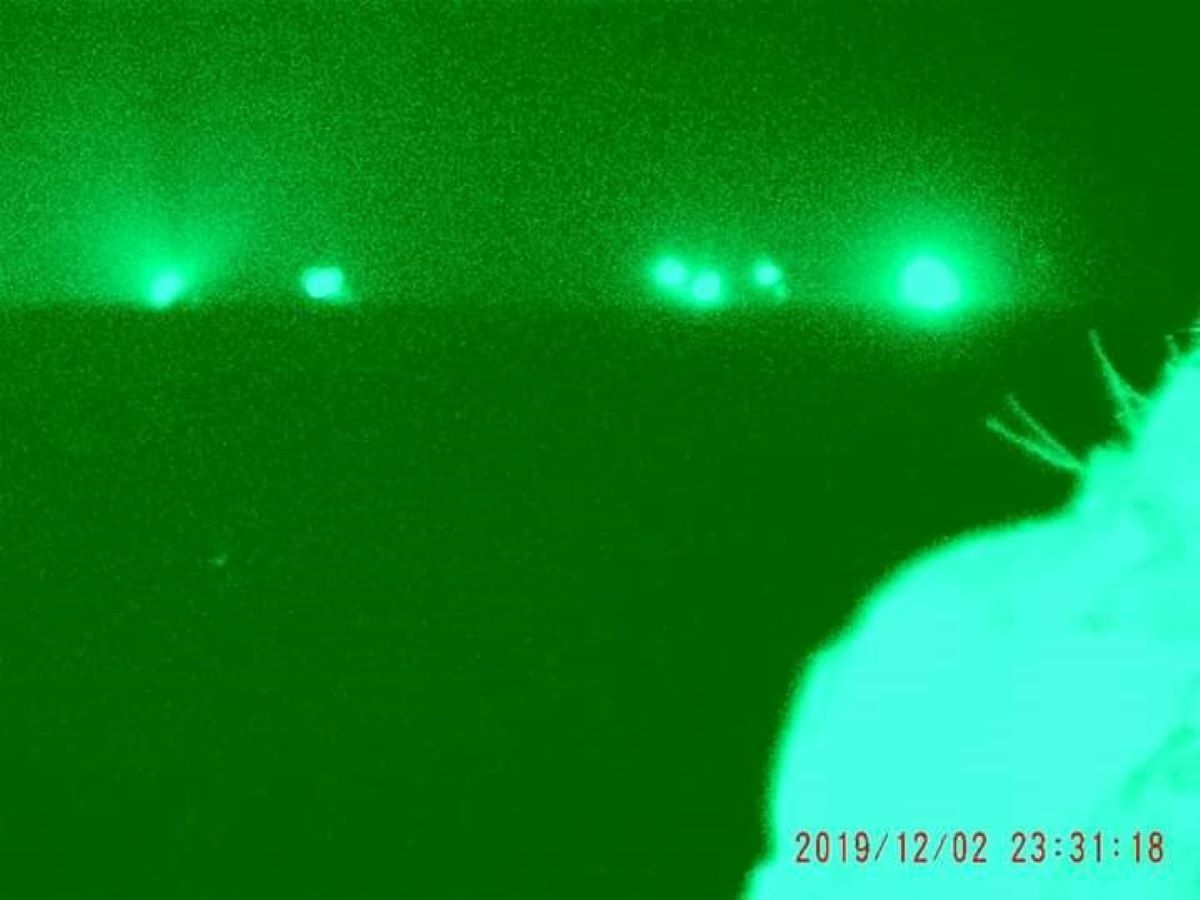 ▲受到強烈東北季風影響，澎湖西吉海域有14艘大陸拖網漁船入侵，入夜後花嶼、七美、目斗嶼也有許多大陸漁船假借避風之名入侵，令前線保育人員感到相當無奈。（圖／蕭再泉提供，2019.12.03）