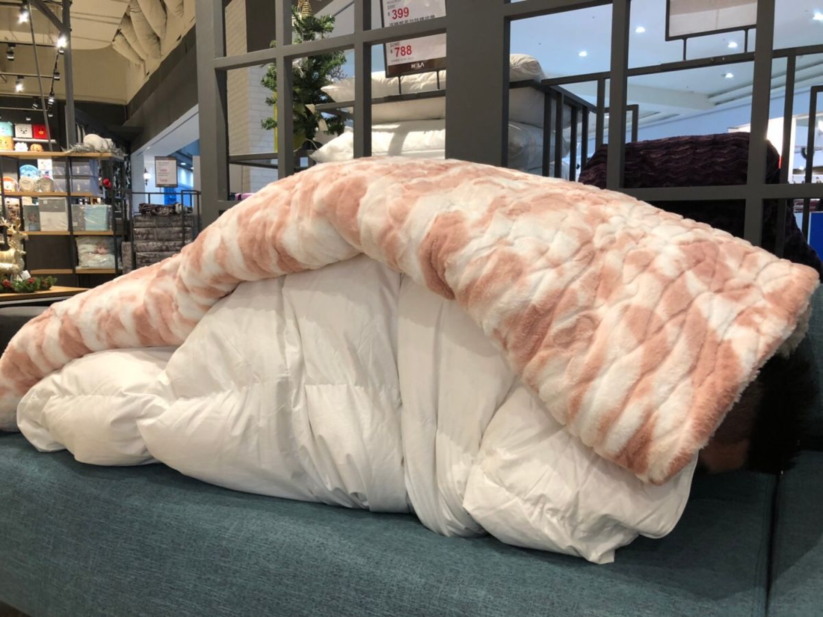 ▲HOLA特力和樂粉絲團4日PO出長羔絨毯新商品，沒想到毯子圖案意外引發熱議，讓「飢餓系」油花太美松阪豬毯一夕之間爆紅。（圖／HOLA特力和樂提供）